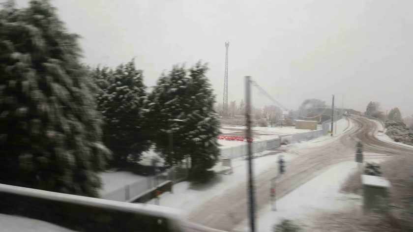 A wintry view of a snow covered road edged with evergreen trees and telephone poles