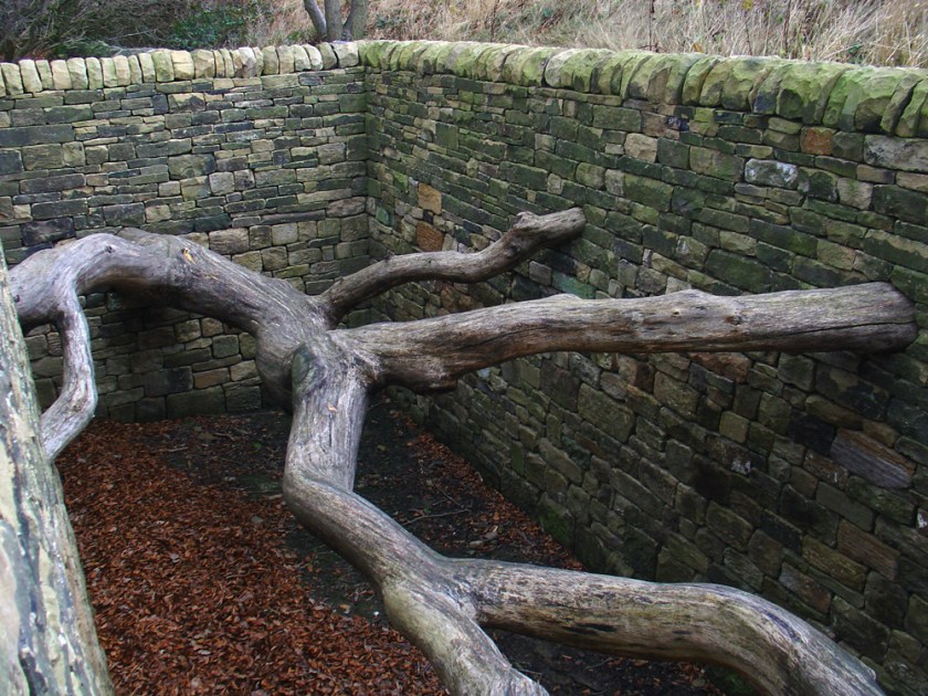 A large bonelike tree branch is suspended between four brick walls