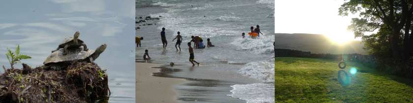 A triptych of photos shows, from left to right, a small turtle perched on the back of a larger one, boys kick a ball in the surf of a beach, a round tire swing in front of the sun setting behind a hill, creating a round sunspot.