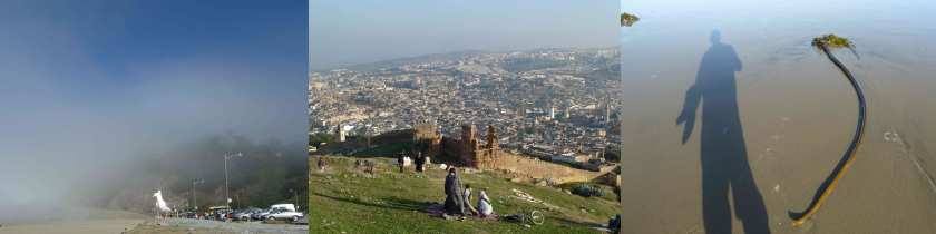A triptych of photos shows, from left to right, two seagulls perched on a wall in front of parked cars in a foggy landscape, women rest on a hillside above an ancient city, shadow of a figure on smooth sand beside a length of seaweed
