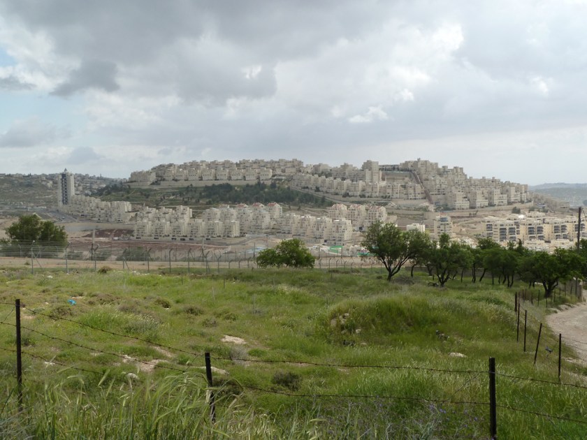 A large settlement of many buildings climbs a hill on the other side of a fenced off field.