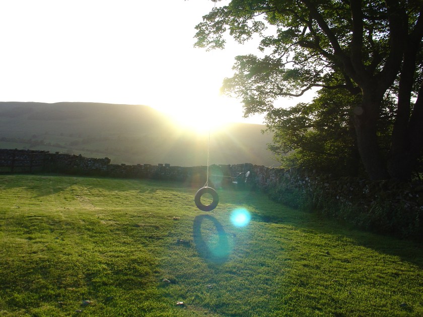 Sunlight flares above a tire swing suspended from a tree