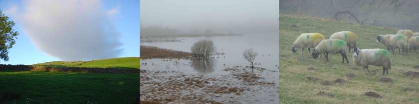 A triptych of photos shows, from left to right, a pinkish cloud seems to rest on the top of a green hill, a misty marine landscape with dry trees and ducks, a herd of sheep stand in a field, their coats daubed with green and yellow paint.