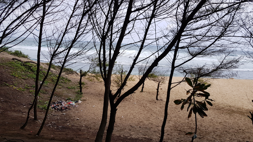 Seashore with bare trees in the foreground and a pile of rubbish on the sand