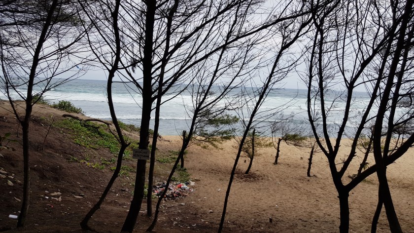 Seashore with bare trees in the foreground and a pile of rubbish on the sand