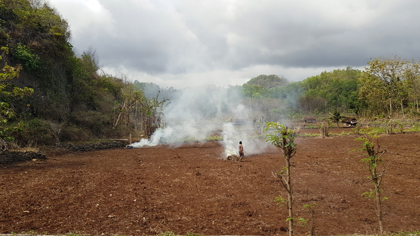 A small figure passes billowing smoke from fires in a ploughed field.