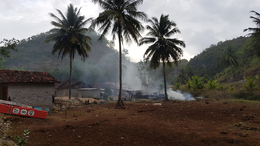 Smoke billows from ploughed fields in rural landscape with three palm trees in the foreground