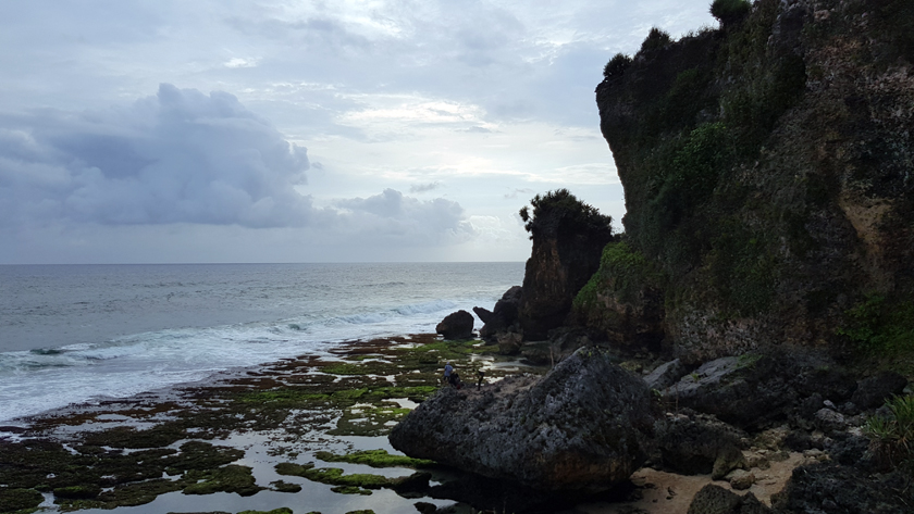 Sea rolls in along coastline with large rocks and jagged cliffs.