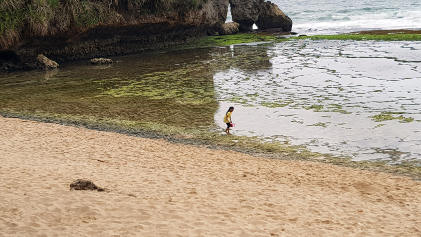 A child with pail wades in the surf at the seashore
